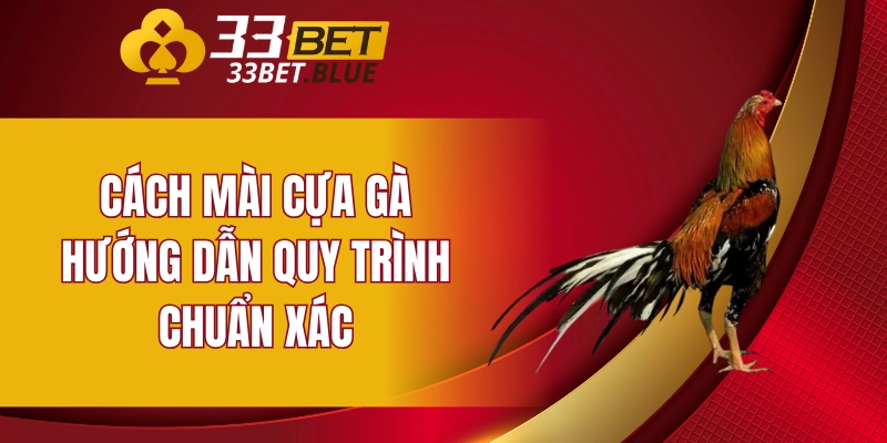 Vảy Hàm Long - Những Điểm Đặc Biệt Của Loại Vảy Này 6 Cách mài cựa gà - Hướng dẫn quy trình chuẩn xác