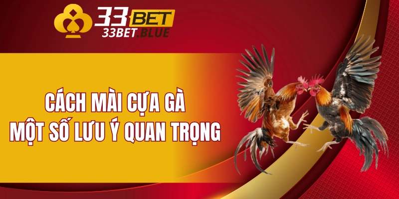 Vảy Hàm Long - Những Điểm Đặc Biệt Của Loại Vảy Này 7 Cách mài cựa gà - Một số lưu ý quan trọng