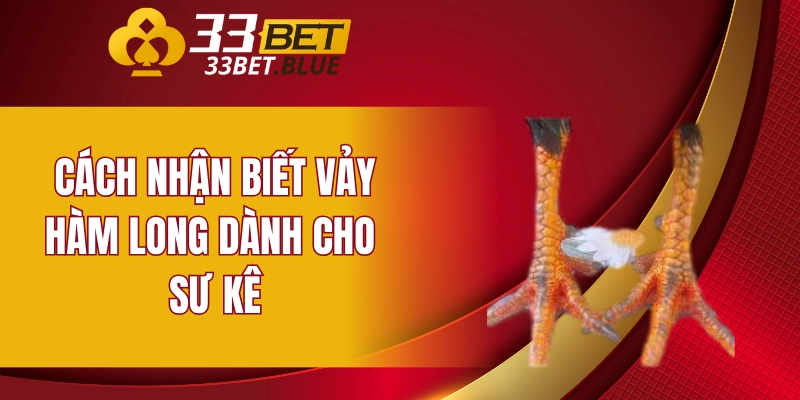 Tìm Hiểu Bệnh Đậu Gà Và Phương Pháp Chữa Trị Hiệu Quả 7 Cách nhận biết vảy hàm long dành cho sư kê