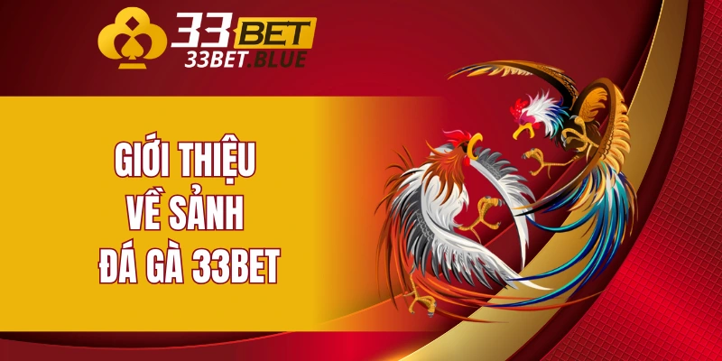 Đá Gà 33BET 4 Giới thiệu về sảnh đá gà 33BET