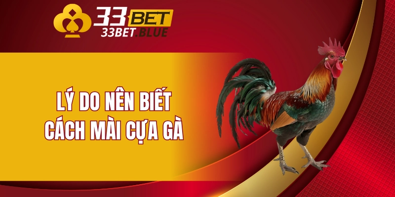 Vảy Hàm Long - Những Điểm Đặc Biệt Của Loại Vảy Này 5 Lý do nên biết cách mài cựa gà
