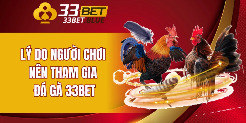 Đá Gà 33BET 6 Lý do người chơi nên tham gia đá gà 33BET