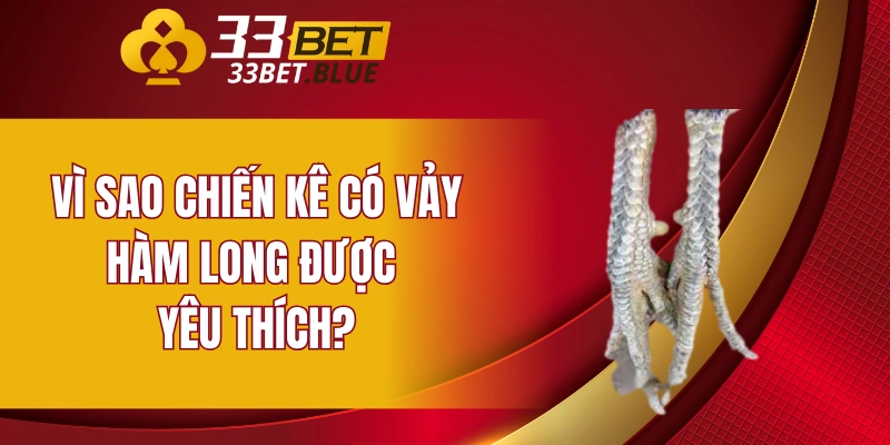 Tìm Hiểu Bệnh Đậu Gà Và Phương Pháp Chữa Trị Hiệu Quả 6 Vì sao chiến kê có vảy hàm long được yêu thích?